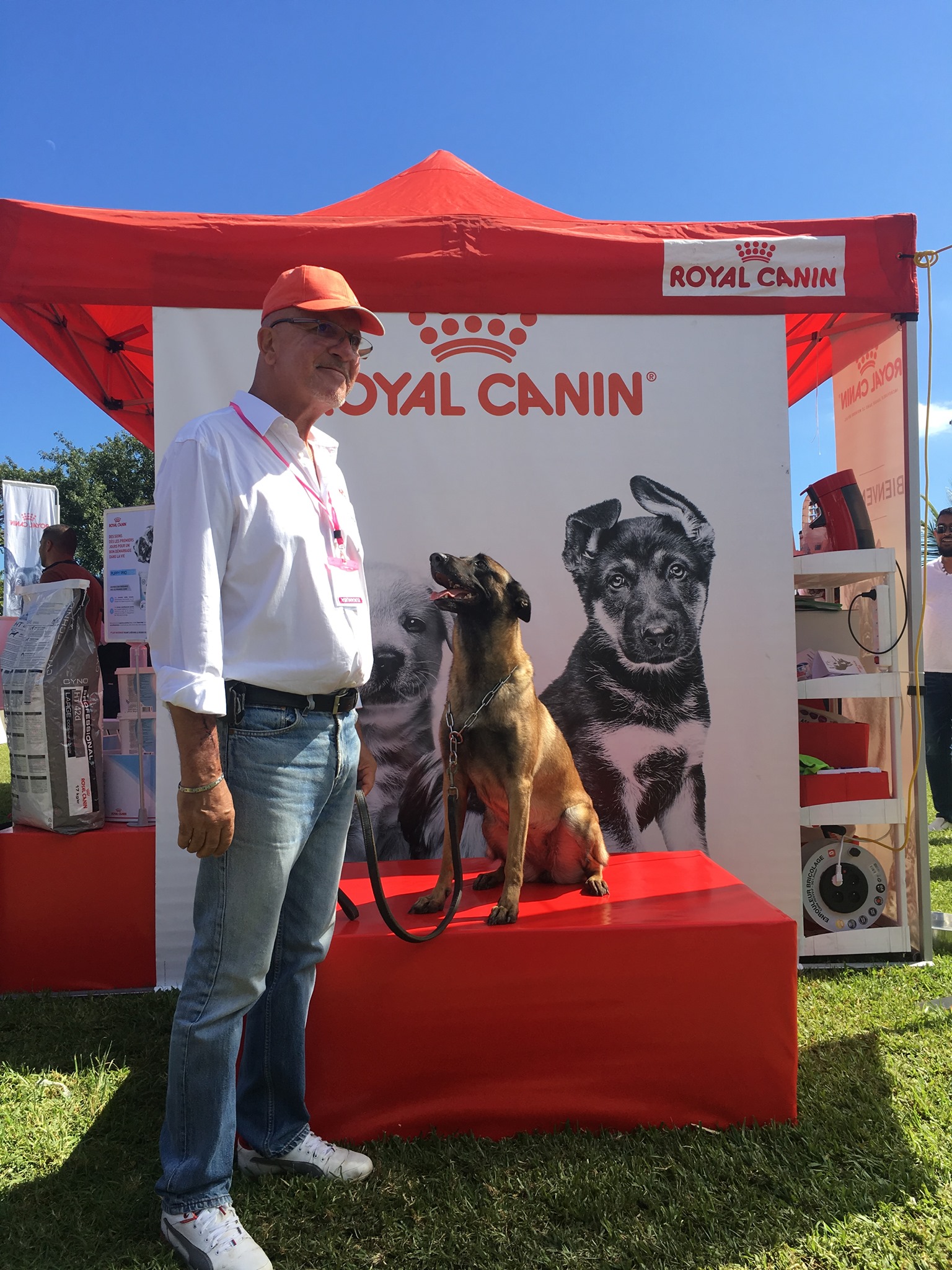 Chien en plein air – Conciergerie de la Convenance